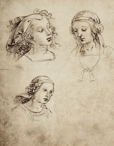 Study for Three Feminine Heads by Raffaello Sanzio Raphael